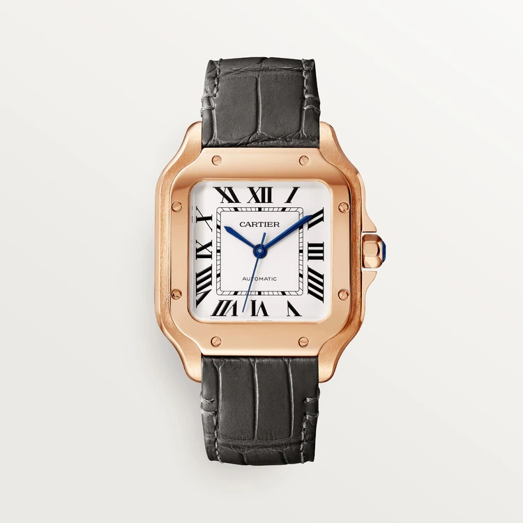 Cartier Santos de Cartier Skeleton WHSA0007(AAAAA version)